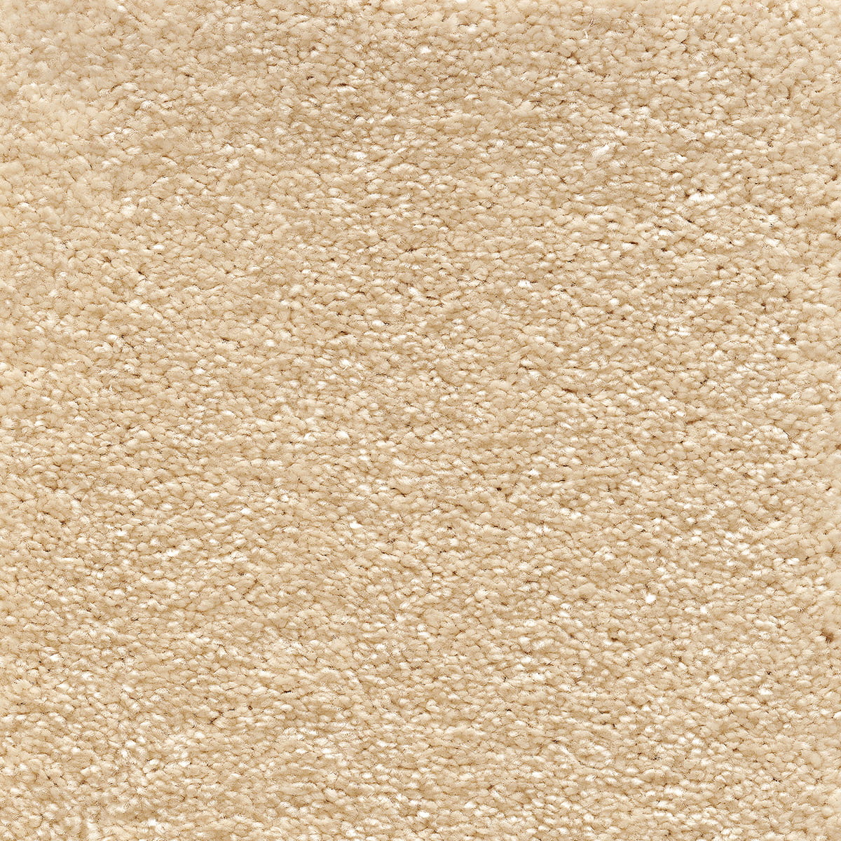 Sophistication 05 - Frosted Dawn