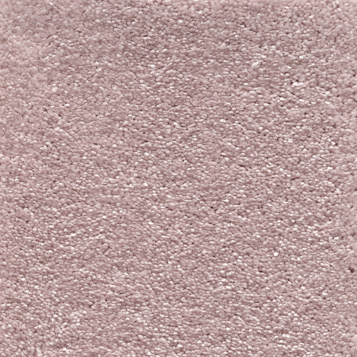 Sophistication 05 - Frosted Dawn