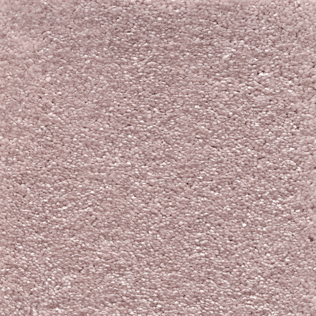 Sophistication 05 - Frosted Dawn