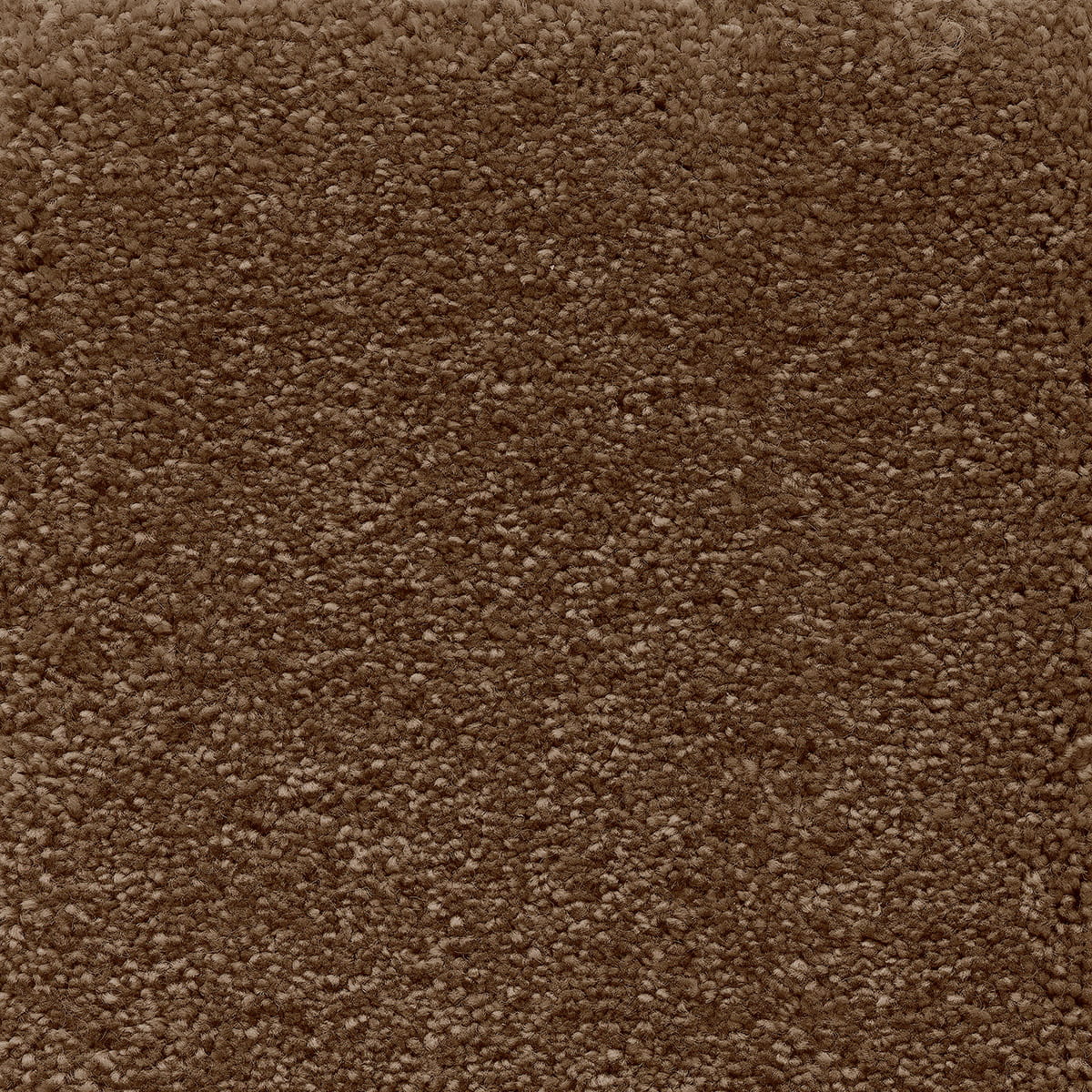 Sophistication 05 - Frosted Dawn