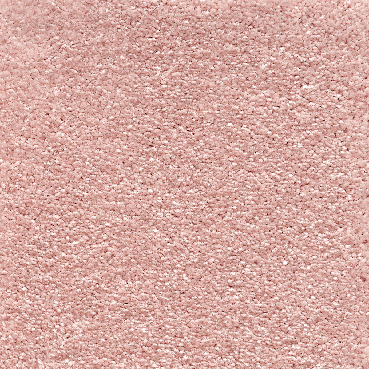 Sophistication 05 - Frosted Dawn