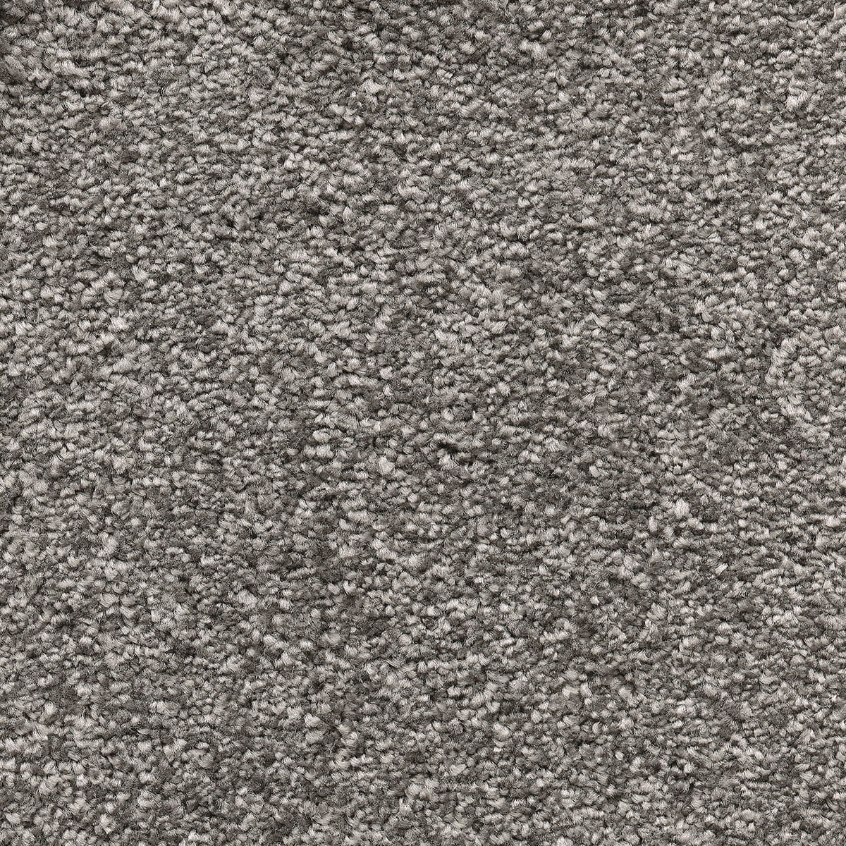 Sophistication 05 - Frosted Dawn