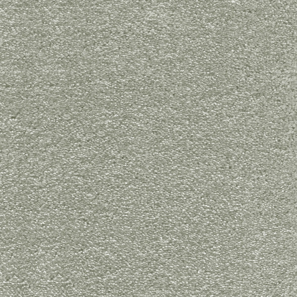 Surprise 39 - Nemesis