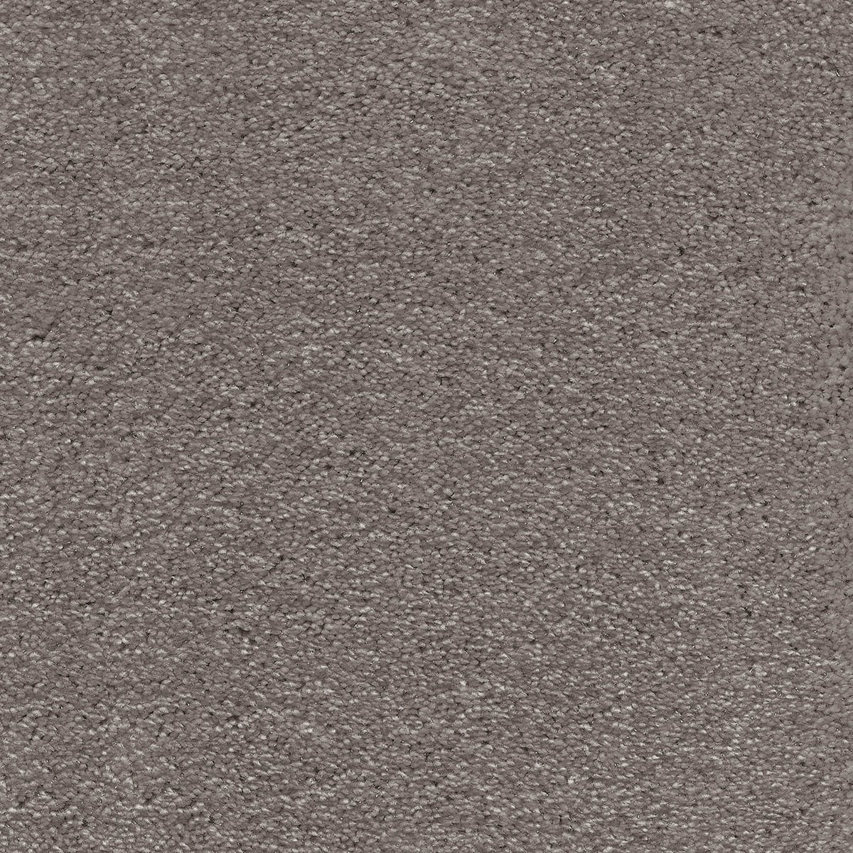 Surprise 39 - Nemesis macro shot