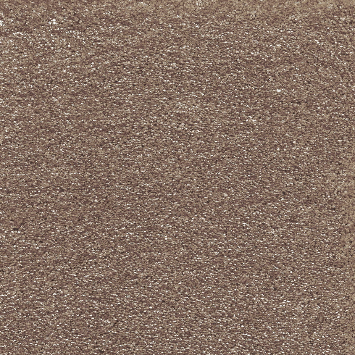 Surprise 39 - Nemesis