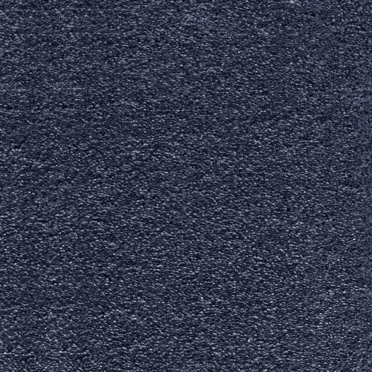 Surprise 39 - Nemesis