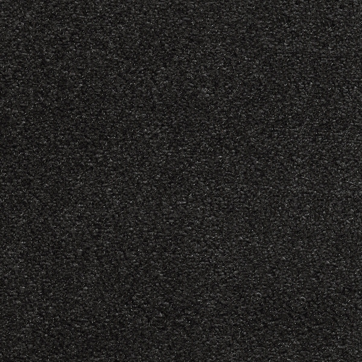 Surprise 39 - Nemesis