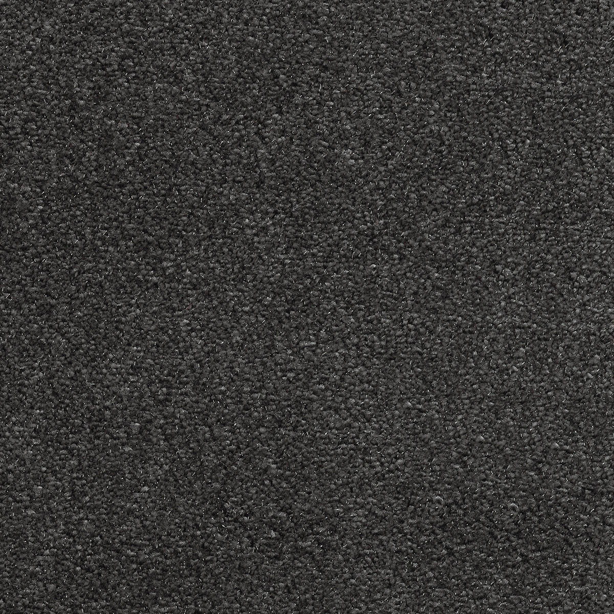 Surprise 39 - Nemesis