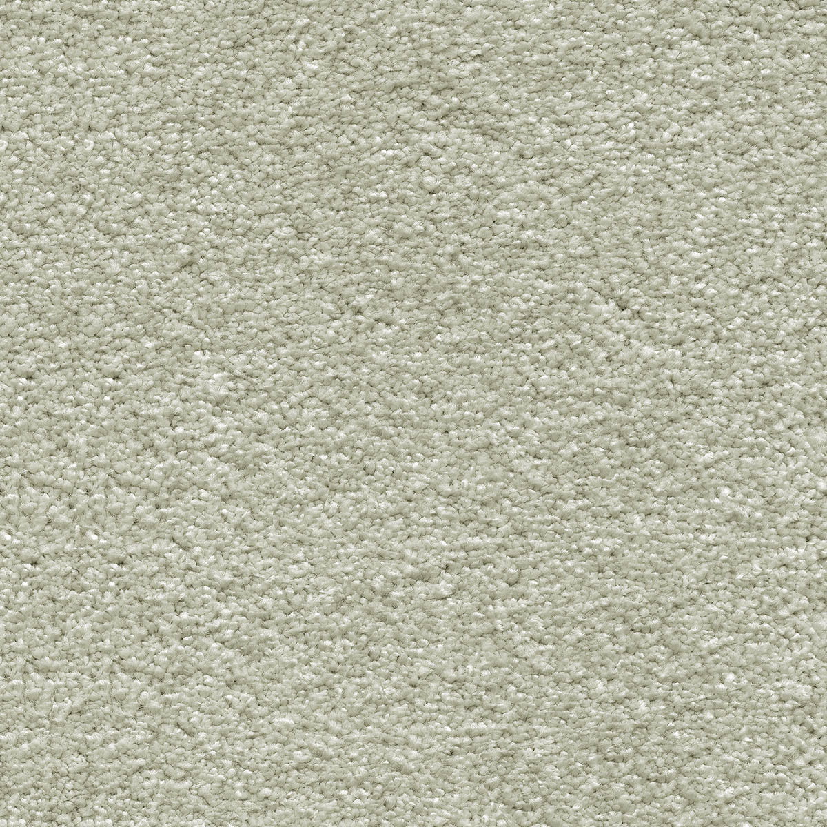 Suspense 03 - Ermine