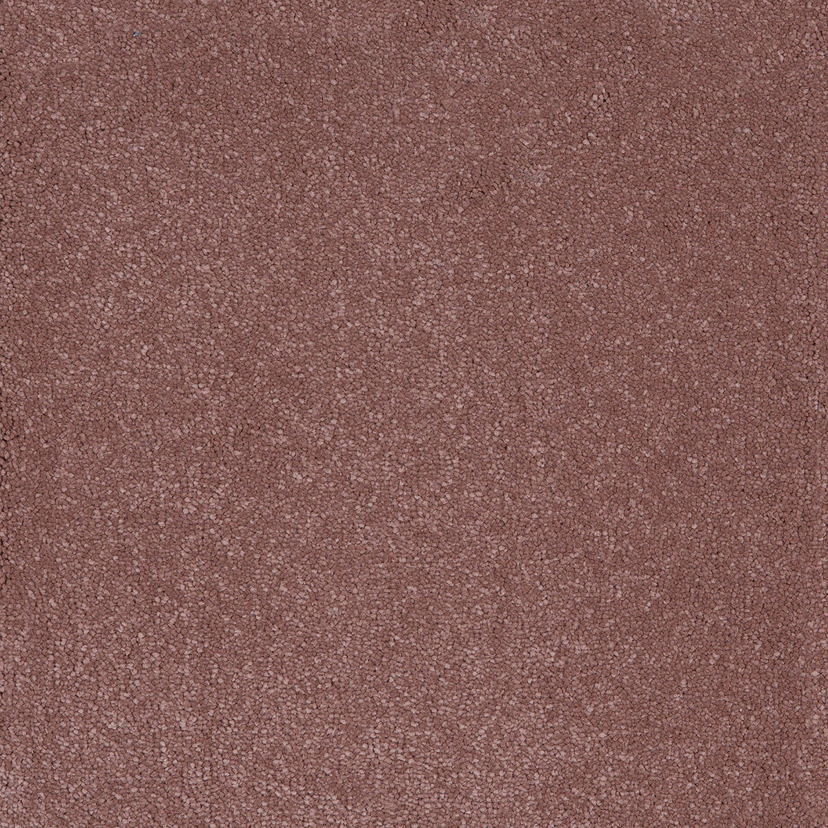 Taurus 96 - Fog