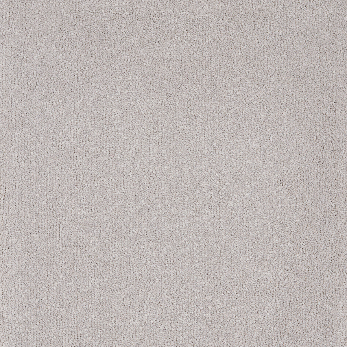 Taurus 96 - Fog