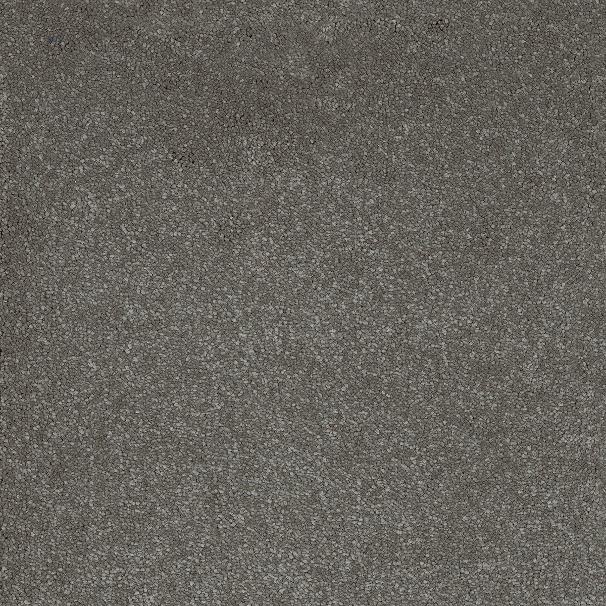 Taurus 96 - Fog macro shot