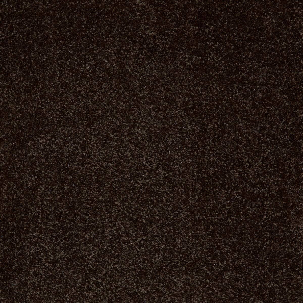 Taurus 96 - Fog