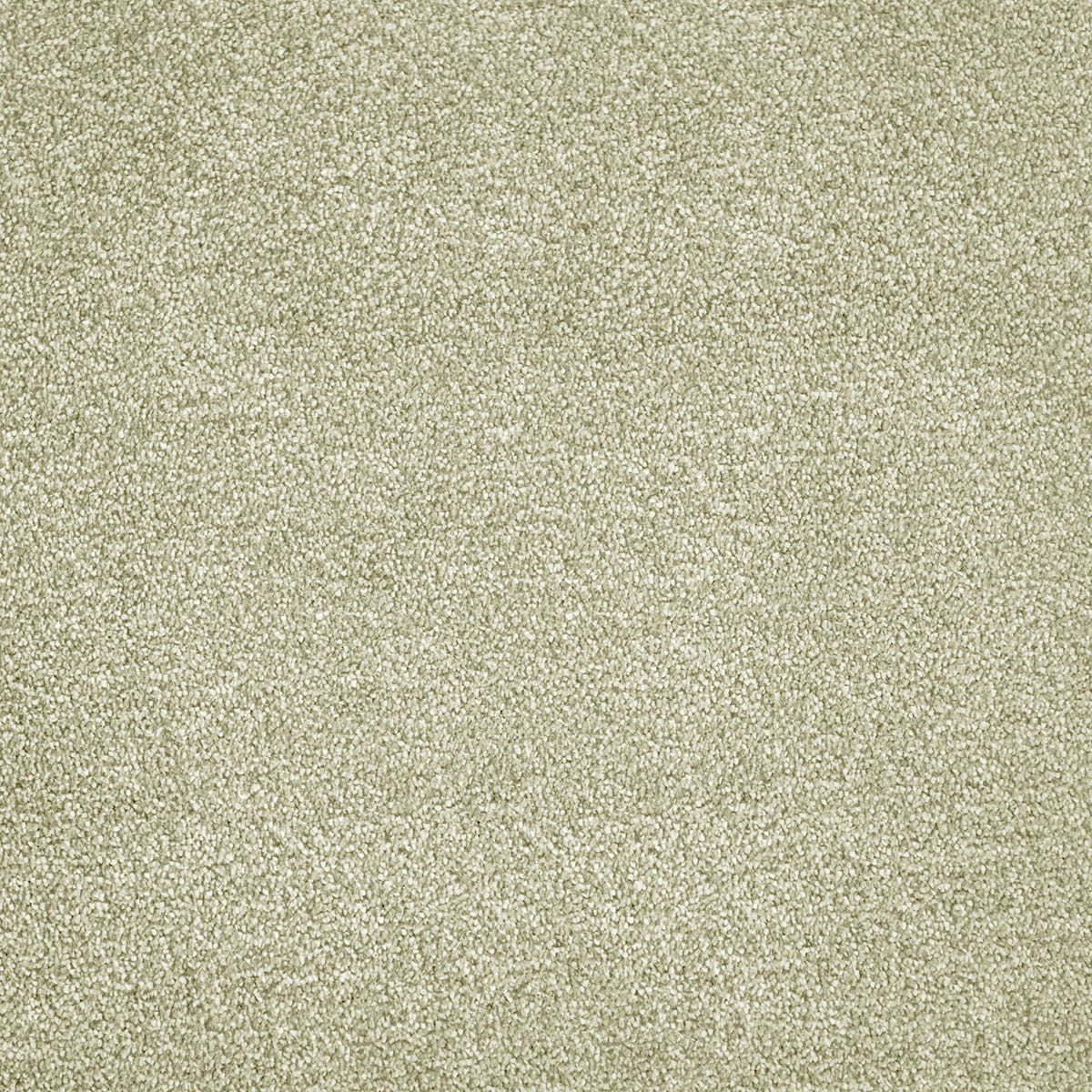 Tigris 20 - Canopy Green macro shot