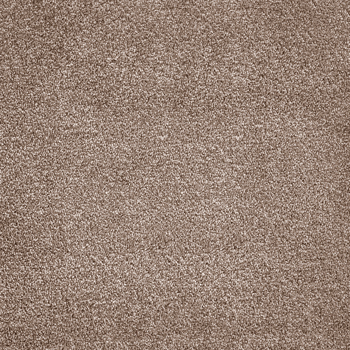 Tigris 30 - Sand Tan
