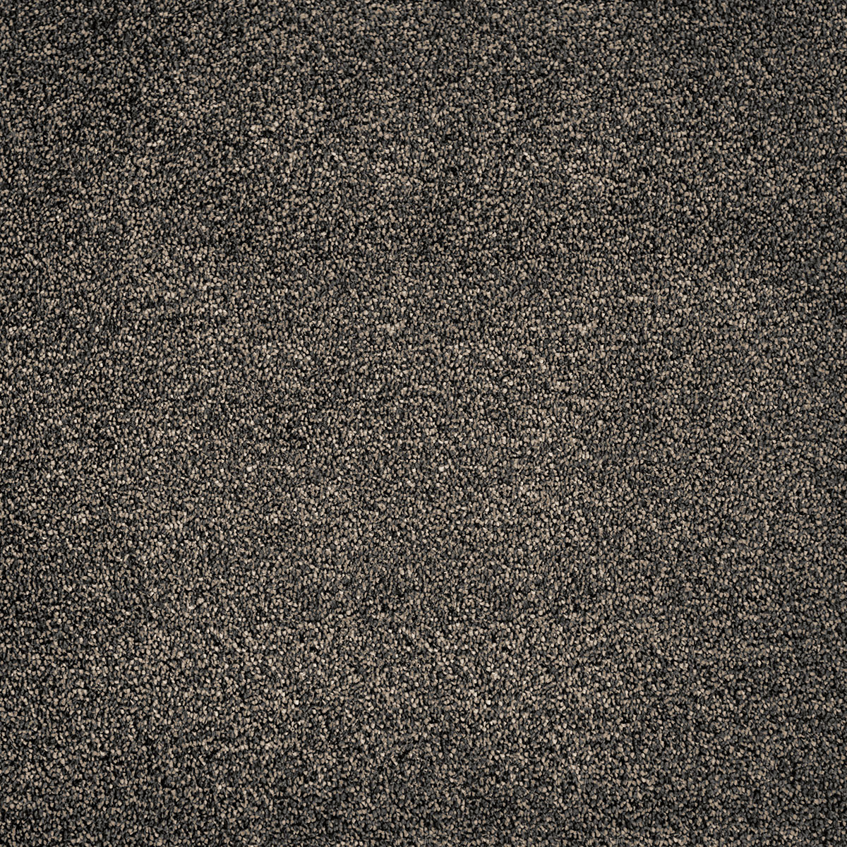 Tigris 30 - Sand Tan
