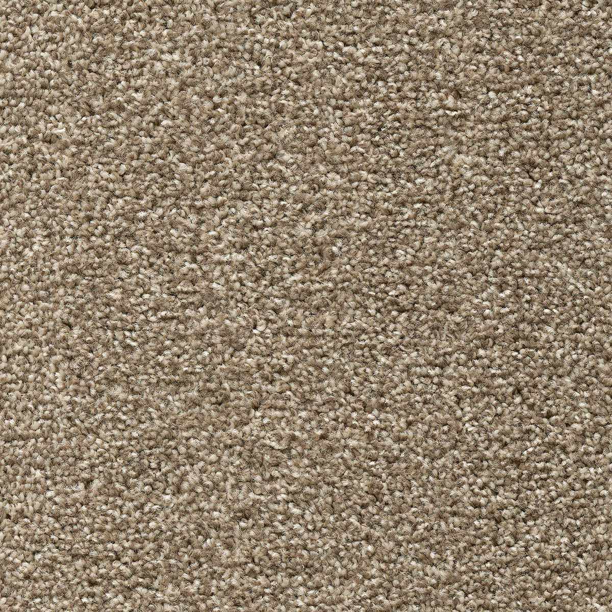 Tuftex Twist 32 - Pebble Beige macro shot