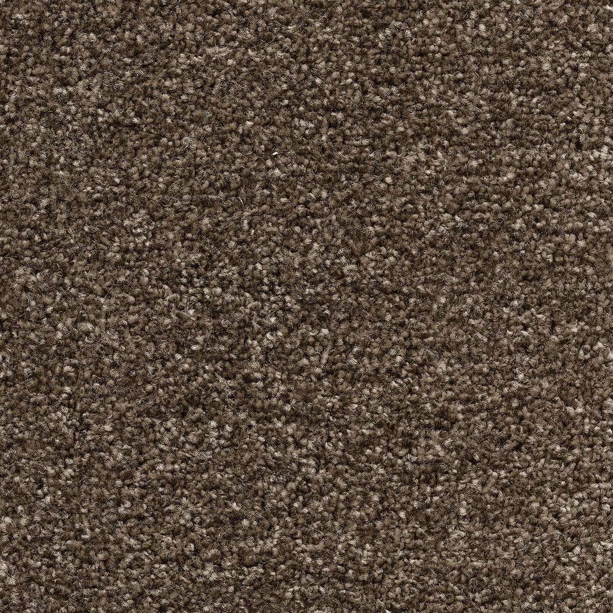 Tuftex Twist 32 - Pebble Beige