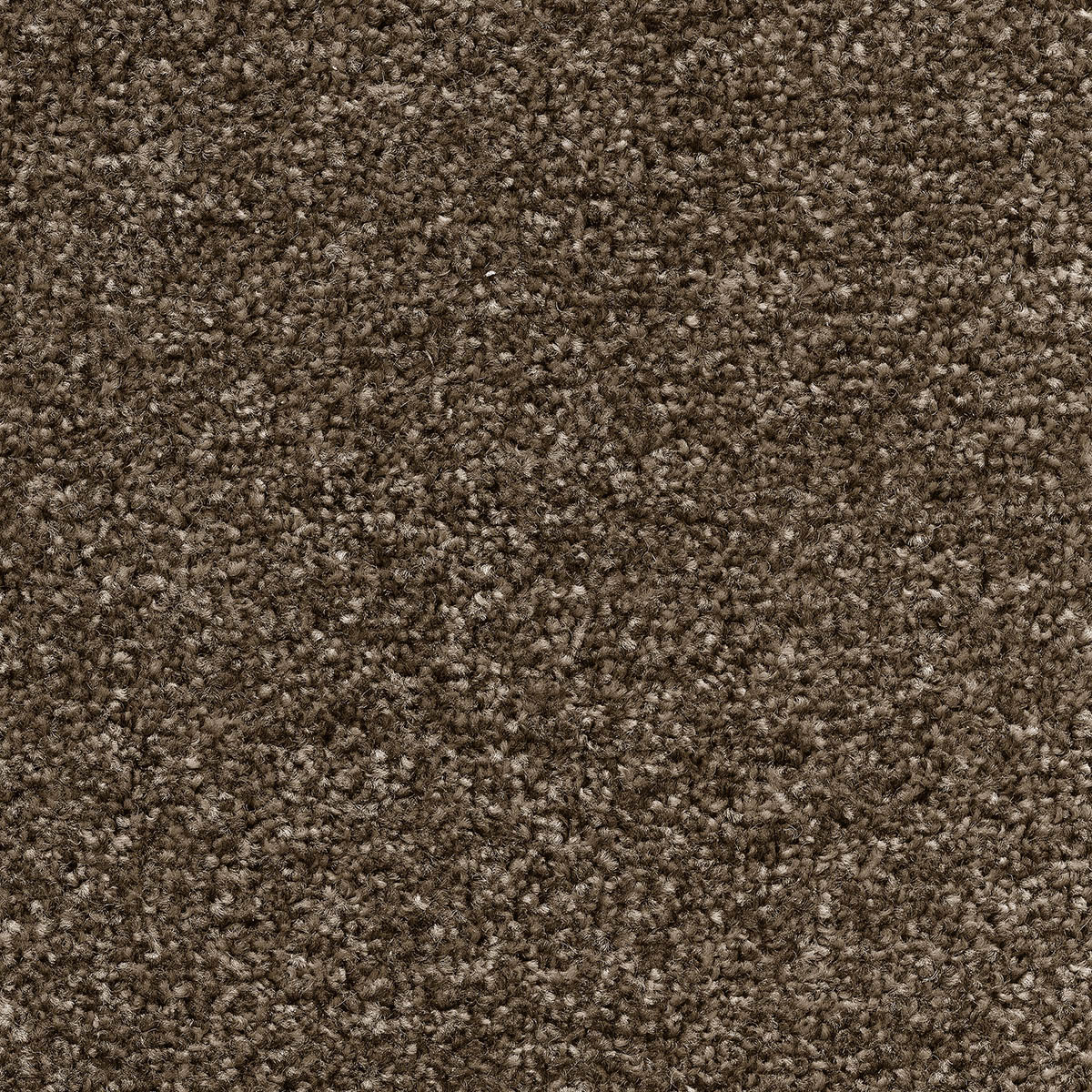 Tuftex Twist 03 - White Mulberry
