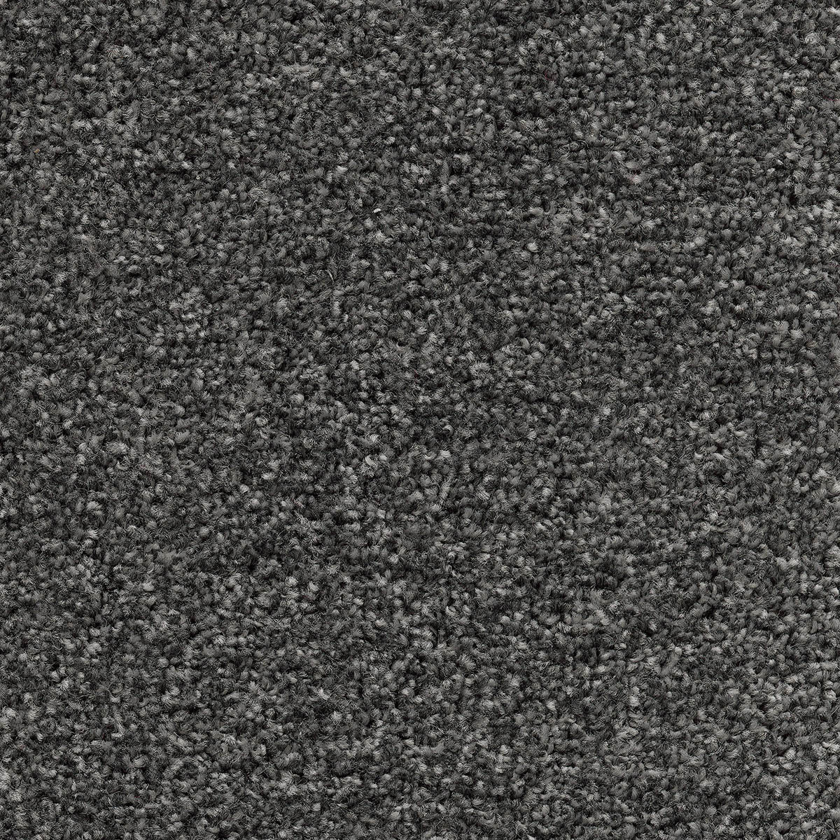 Tuftex Twist 03 - White Mulberry
