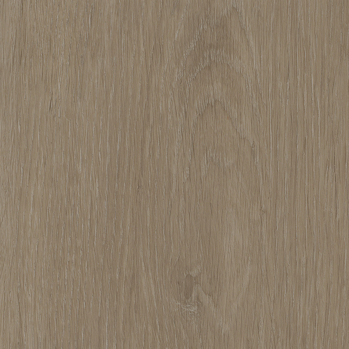Elegant Oak - Vanilla