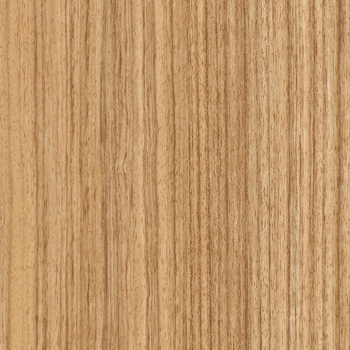 Natural Teak - Amber macro shot